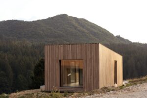 Gallery image 8