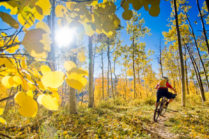 Outdoor Activities VR