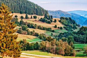 Vama Buzaului - Home of The Valley Resort