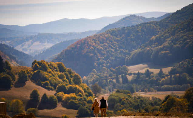 Exploring the Success of Holiday Villages in Romania