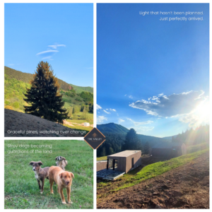 The Valley Diaries Vol.I