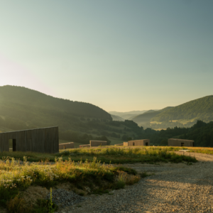 A growing global market 