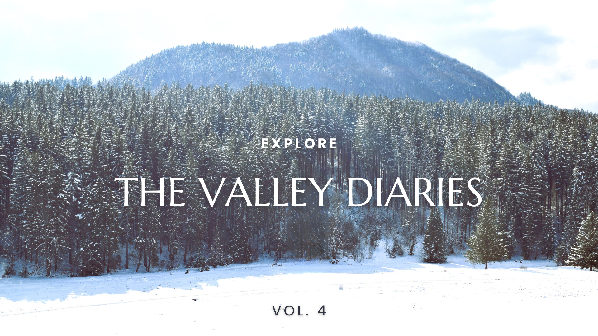 The Valley Diaries. Vol. 4: November Reflections