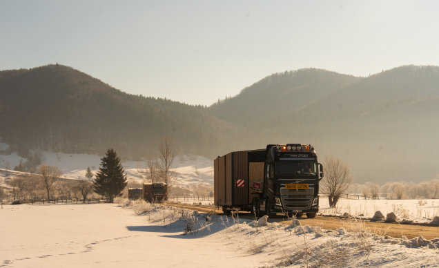 The Valley Diaries #7: Early Spring at The Valley