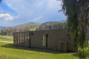 Gallery image 6