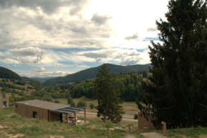 Gallery image 6