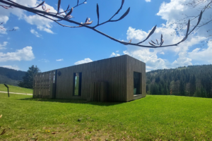 Gallery image 11